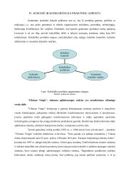 Kokybiško produkto kūrimas siekiant organizacijos konkurencingumo 16 puslapis
