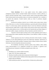 Kokybiško produkto kūrimas siekiant organizacijos konkurencingumo 4 puslapis