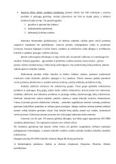 Kokybiško produkto kūrimas siekiant organizacijos konkurencingumo 6 puslapis