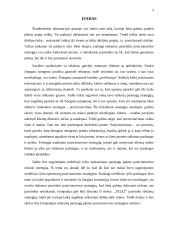 Įmonės paslaugų paketo pozicionavimas rinkoje: mobiliojo ryšio operatorius "TELE2" 2 puslapis