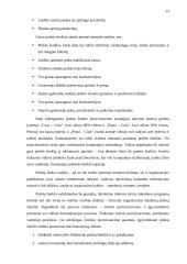 Įmonės paslaugų paketo pozicionavimas rinkoje: mobiliojo ryšio operatorius "TELE2" 12 puslapis