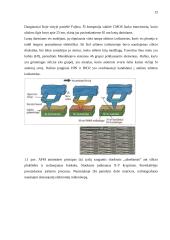 Kompiuterių technologijų inovacijų apžvalga ir prognozė 12 puslapis