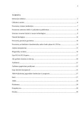 Kompiuterių technologijų inovacijų apžvalga ir prognozė 4 puslapis