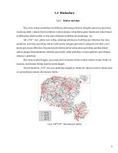Įmonės plėtra: AB "VST" Skuodo skyrius 6 puslapis
