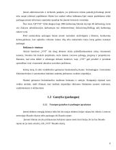 Įmonės plėtra: AB "VST" Skuodo skyrius 8 puslapis