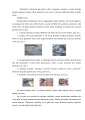 Krepinio popieriaus galimybės realizuojant kūrybinį sumanumą 11 puslapis