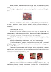 Krepinio popieriaus galimybės realizuojant kūrybinį sumanumą 12 puslapis