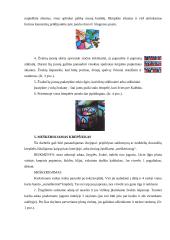 Krepinio popieriaus galimybės realizuojant kūrybinį sumanumą 13 puslapis