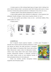 Krepinio popieriaus galimybės realizuojant kūrybinį sumanumą 14 puslapis
