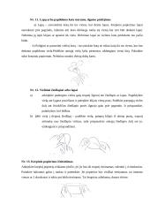 Krepinio popieriaus galimybės realizuojant kūrybinį sumanumą 15 puslapis