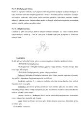 Krepinio popieriaus galimybės realizuojant kūrybinį sumanumą 16 puslapis