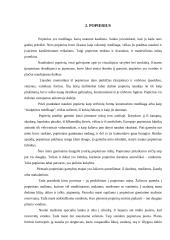 Krepinio popieriaus galimybės realizuojant kūrybinį sumanumą 4 puslapis