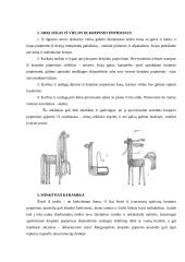Krepinio popieriaus galimybės realizuojant kūrybinį sumanumą 10 puslapis