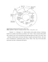 Įmonės prekių paskirstymas ir transportavimo procesų analizė: AB "Garsas" 5 puslapis