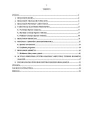 Įmonės reklamos įtaka vartotojo sprendimams: UAB "Maxima" 2 puslapis