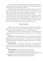 Įmonės reklamos įtaka vartotojo sprendimams: UAB "Maxima" 13 puslapis