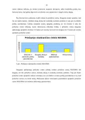 Įmonės reklamos įtaka vartotojo sprendimams: UAB "Maxima" 19 puslapis