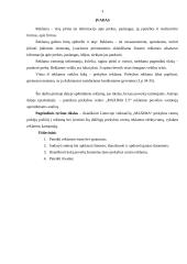 Įmonės reklamos įtaka vartotojo sprendimams: UAB "Maxima" 3 puslapis