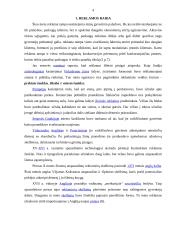 Įmonės reklamos įtaka vartotojo sprendimams: UAB "Maxima" 4 puslapis