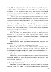 Įmonės rinkodaros planavimo teoriniai aspektai: UAB "Ankeda" 13 puslapis