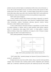 Įmonės rinkodaros planavimo teoriniai aspektai: UAB "Ankeda" 5 puslapis