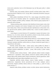 Įmonės rinkodaros planavimo teoriniai aspektai: UAB "Ankeda" 6 puslapis