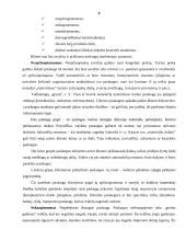Įmonės teikiamų paslaugų marketingo komplekso vertinimas: UAB "Penkių kontinentų komunikacijų centras" 6 puslapis
