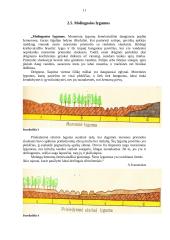 Lietuvos kraštovaizdžių turistinis įvertinimas ir turizmo infrastruktūra 11 puslapis