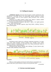 Lietuvos kraštovaizdžių turistinis įvertinimas ir turizmo infrastruktūra 12 puslapis