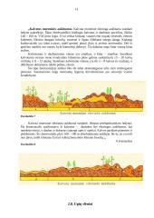 Lietuvos kraštovaizdžių turistinis įvertinimas ir turizmo infrastruktūra 13 puslapis