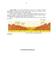 Lietuvos kraštovaizdžių turistinis įvertinimas ir turizmo infrastruktūra 14 puslapis