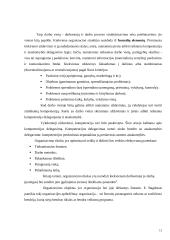 Įmonės valdymo funkcijos 13 puslapis