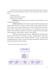 Įmonės valdymo funkcijos 15 puslapis