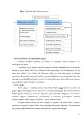Įmonės valdymo funkcijos 19 puslapis