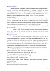 Įmonės valdymo funkcijos 20 puslapis