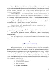 Įmonės valdymo funkcijos 8 puslapis