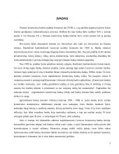 Įmonės veiklos analizė ir prognozė 2009 metams: AB "Swedbank" 2 puslapis