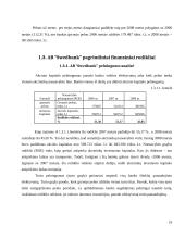 Įmonės veiklos analizė ir prognozė 2009 metams: AB "Swedbank" 16 puslapis