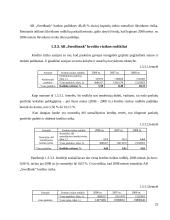 Įmonės veiklos analizė ir prognozė 2009 metams: AB "Swedbank" 20 puslapis