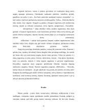 Maisto produktų ekologija. Maisto priedai 12 puslapis