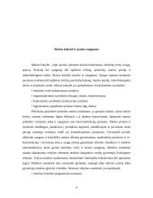 Maisto produktų ekologija. Maisto priedai 4 puslapis