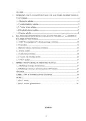 Marketingo planas: kelionės organizatorius UAB "Kauno piligrimas" 2 puslapis