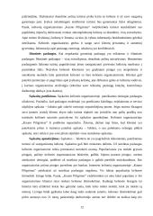 Marketingo planas: kelionės organizatorius UAB "Kauno piligrimas" 12 puslapis