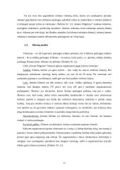 Marketingo planas: kelionės organizatorius UAB "Kauno piligrimas" 17 puslapis