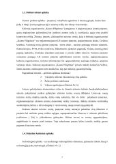 Marketingo planas: kelionės organizatorius UAB "Kauno piligrimas" 7 puslapis