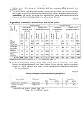 Įmonės veiklos metinis planavimas 11 puslapis