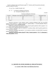 Įmonės veiklos metinis planavimas 9 puslapis