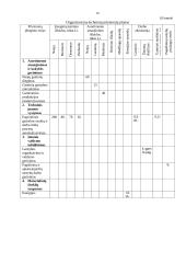 Įmonės veiklos metinis planavimas 10 puslapis