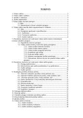 Įmonės vidaus auditas 2 puslapis