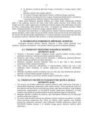 Įmonės vidaus auditas 11 puslapis